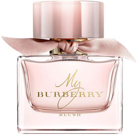 my burberry blush pas cher|my Burberry blush perfume price.